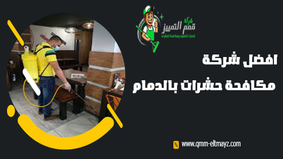 شركة مكافحة حشرات بالدمام